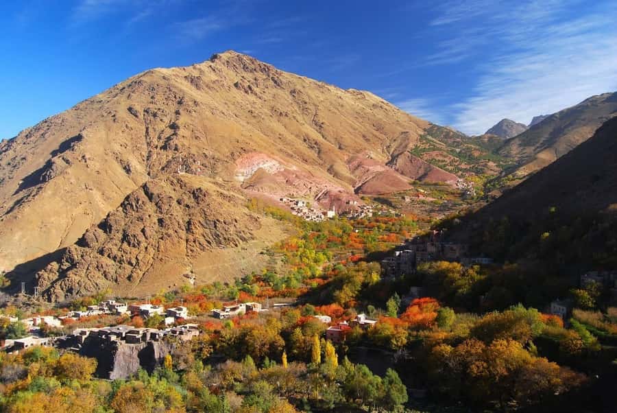 From Marrakech: High Atlas Berber Cooking Class - What you actually cook