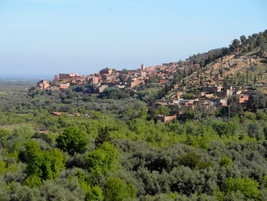 From Marrakech: Ourika Valley & Atlas Mountains Waterfalls - Who should choose this Ourika Valley day trip?
