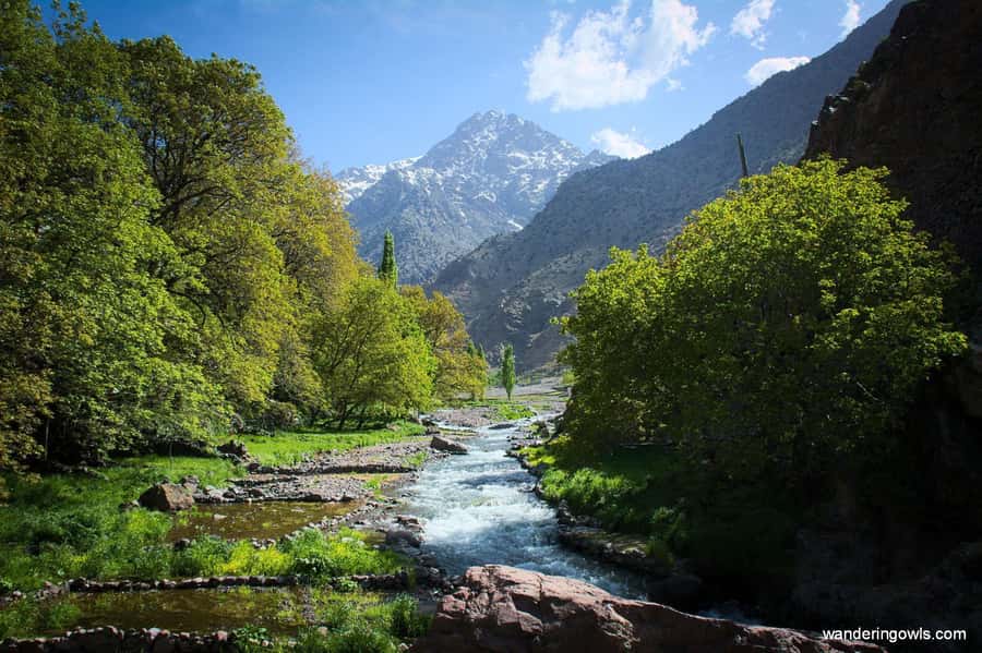 From Marrakech: Ourika Valley Day Trip with Lunch - Leaving Marrakech for the Ourika Valley