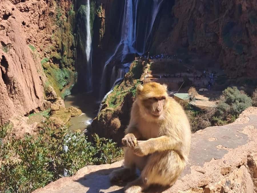 From Marrakech:Ouzoud Waterfalls Day Trip with Boat Tour - Walking the valley toward the cascades