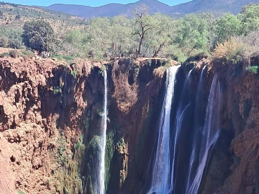 From Marrakech:Ouzoud Waterfalls Day Trip with Boat Tour - The guides make a major difference