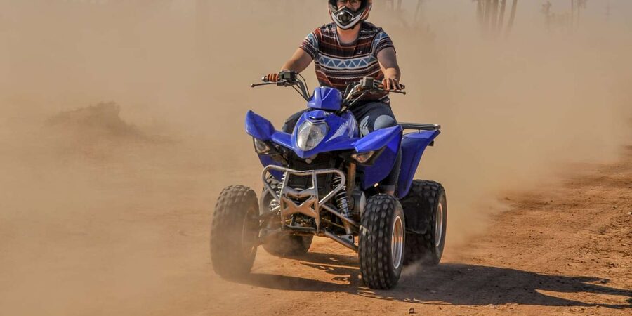 From Marrakech: Palm Grove Quad Bike Tour with Mint Tea - How the $40 price measures up