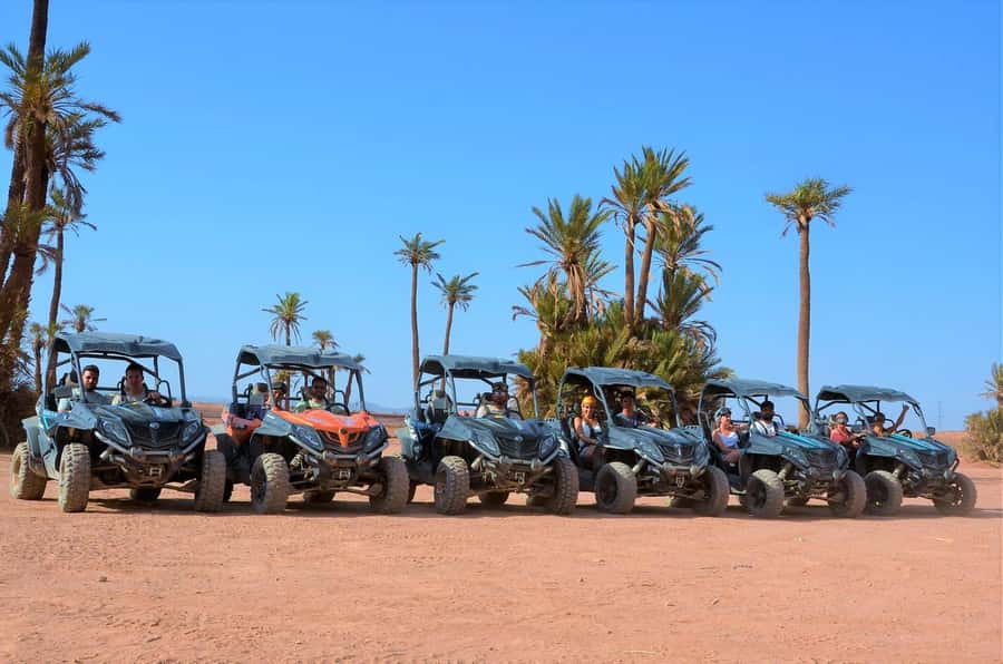From Marrakech: Palm Grove Quad Bike Tour with Mint Tea - Getting comfortable with the quad