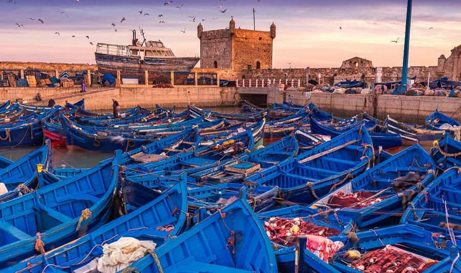 From Marrakech: Small Group to Essaouira & Sekkala Day Trip - Key points to know before booking