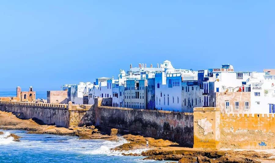 From Marrakech: Small Group to Essaouira & Sekkala Day Trip - What happens at the argan cooperative