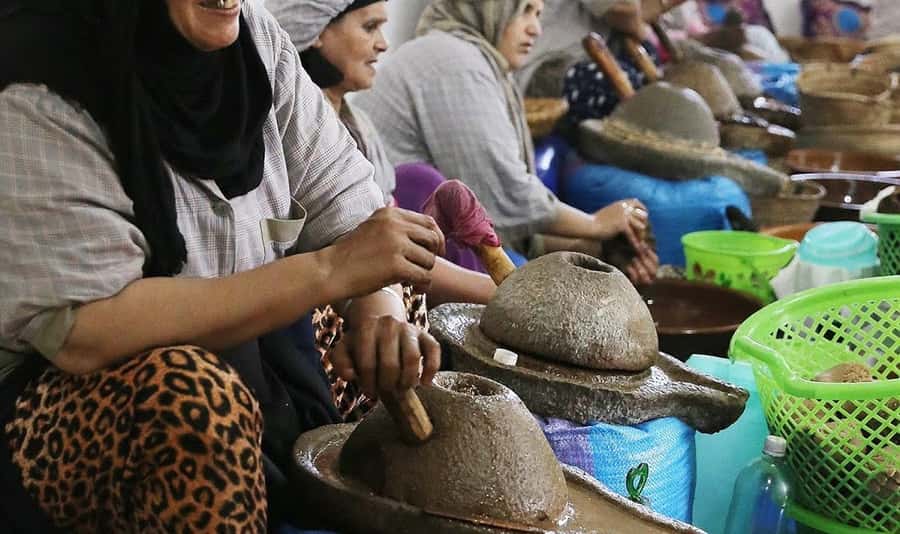 From Marrakech: Small Group to Essaouira & Sekkala Day Trip - Who should book this Essaouira day trip?