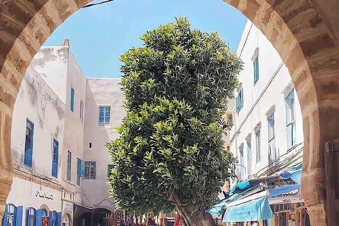 From Marrakech To Essaouira Mogador Full Day Trip | Small-group - The first view of Essaouira from above
