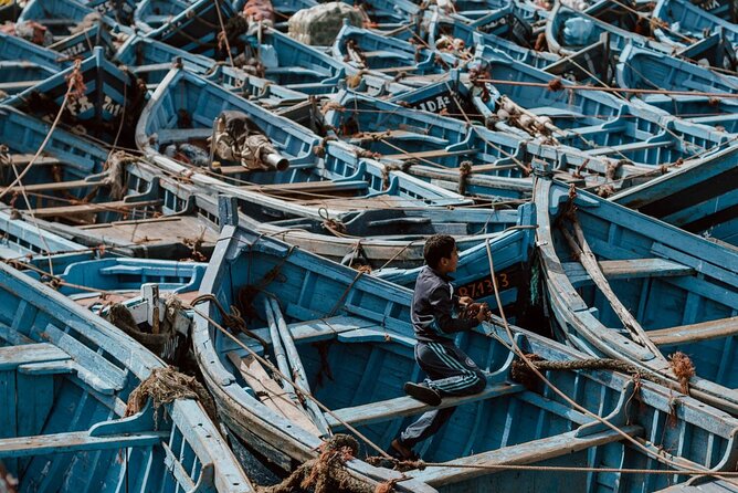 From Marrakech To Essaouira Mogador Full Day Trip | Small-group - What the free time does well, and what it cannot do