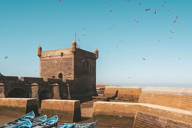 From Marrakech To Essaouira Mogador Full Day Trip | Small-group - Drivers and the shared-group experience
