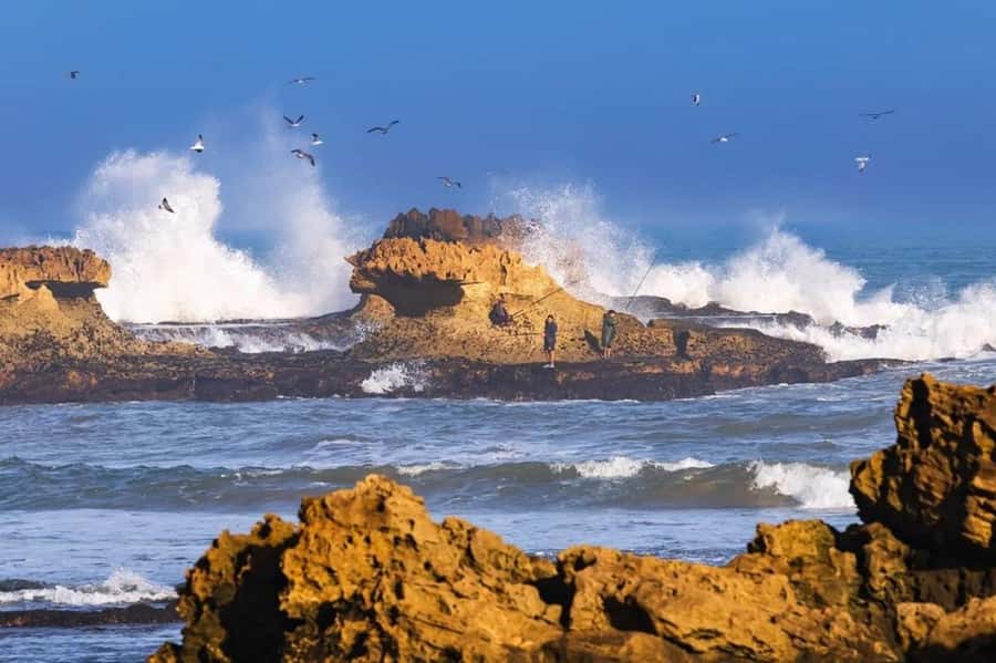 From Marrakech To Essaouira Mogador Full Day Trip Smallgroup - Key points to know before booking