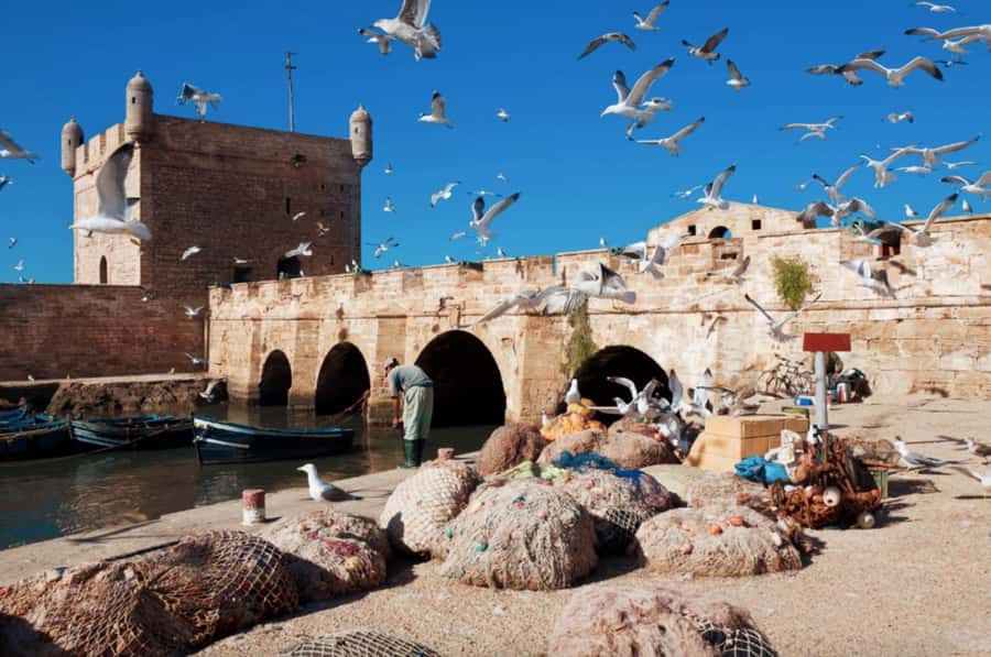 From Marrakech To Essaouira Mogador Full Day Trip Smallgroup - Four free hours inside the old medina