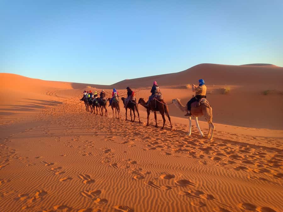 From Marrakech to Merzouga Erg Chebbi: 4-Day Desert Tour - Day 2: Todra Gorge, palm oases, and Erg Chebbi