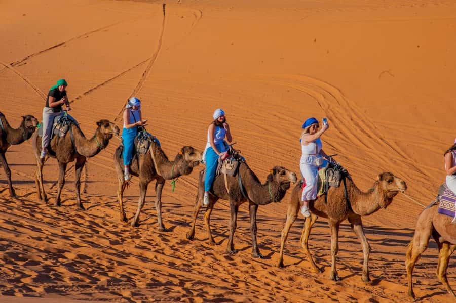 From Marrakech: Unforgettable 3-Day Desert Tour to Fes - Who will enjoy this tour most
