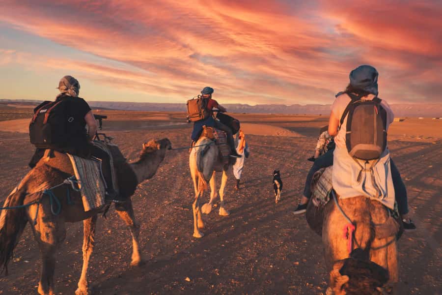 From Marrakech: Zagora 2-Day Desert Safari with Food & Camp - The long road from Marrakech to the desert