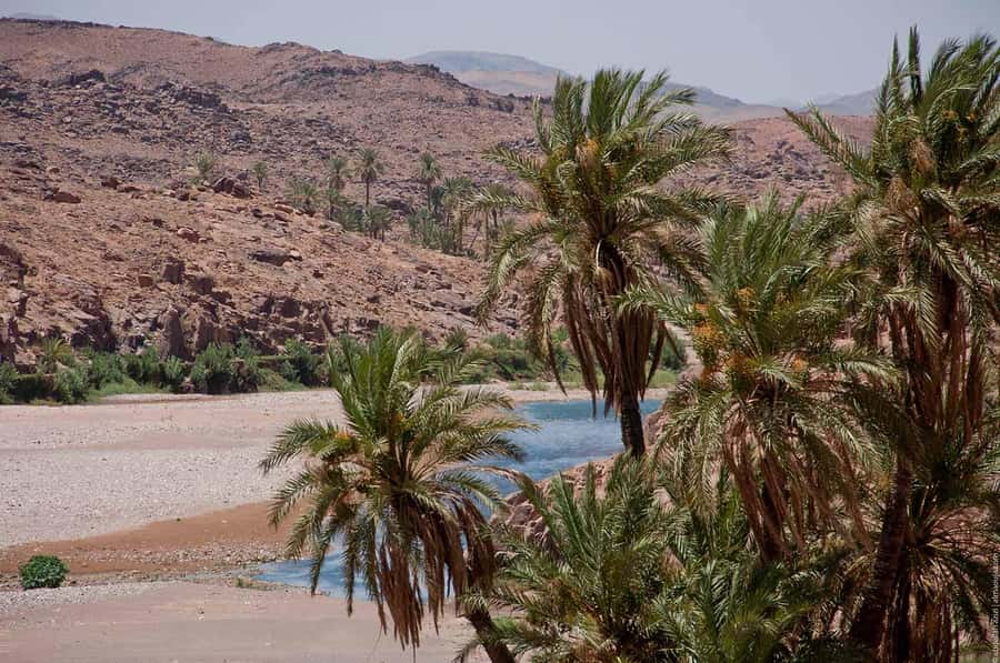 From Marrakesh: 4-Day Private Atlas Mountains & Desert Tour - FAQ