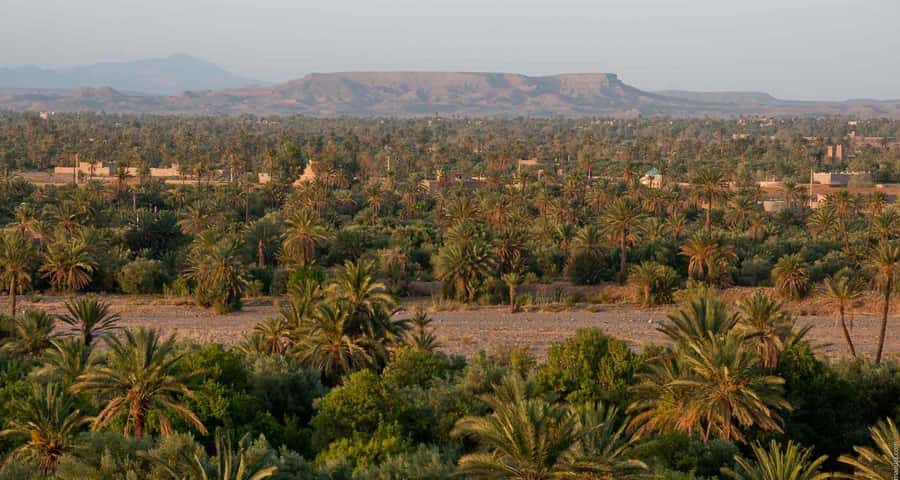 From Marrakesh: 4-Day Private Atlas Mountains & Desert Tour - Rissani, fossils, and the road back west
