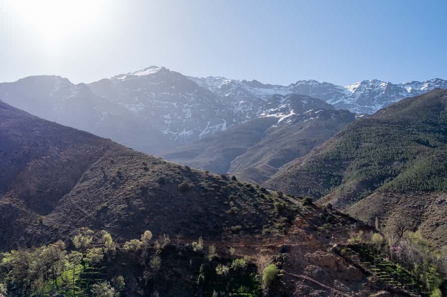 From Marrakesh: Atlas Mountains Talamrout Summit Day Hike - The key facts before you book
