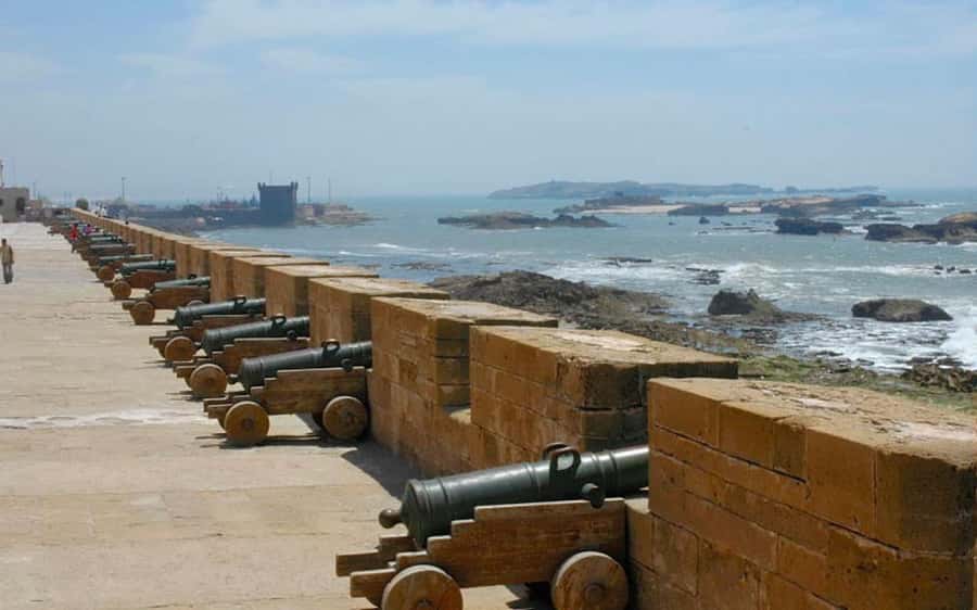 From Marrakesh: Essaouira Day Trip - Tree-climbing goats and the argan oil cooperative