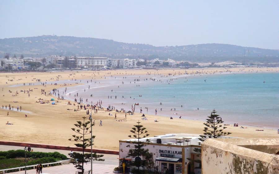 From Marrakesh: Essaouira Day Trip - Lunch, seafood, and what the $17 price really covers