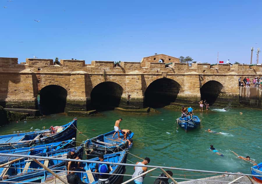 From Marrakesh: Essaouira Full-Day Trip - Who should book this day trip?