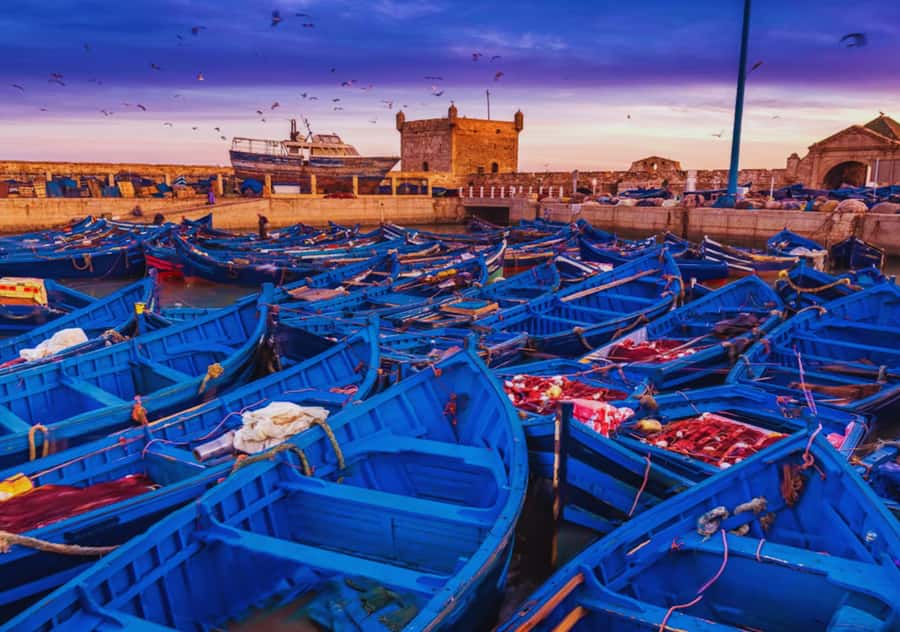 From Marrakesh: Essaouira Full-Day Trip - The drive from Marrakesh to the Atlantic