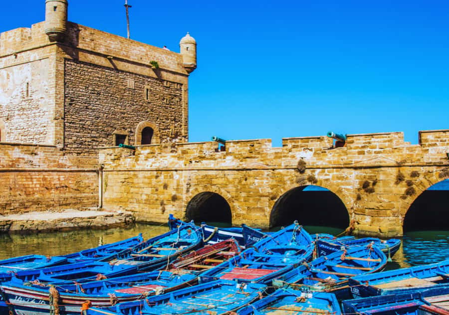 From Marrakesh: Essaouira Full-Day Trip - Entering Essaouira through the old port