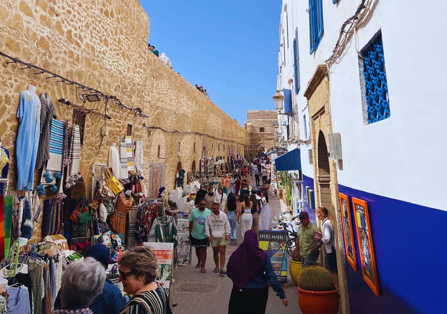 From Marrakesh: Essaouira Full-Day Trip - How the $20 price holds up
