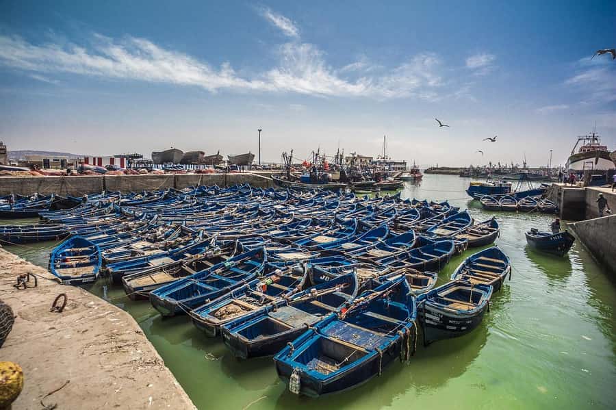 From Marrakesh: Small Group To Essaouira With Opt Activities - Key points to know before booking