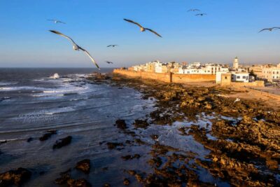 Small Group To Essaouira With Opt Activities