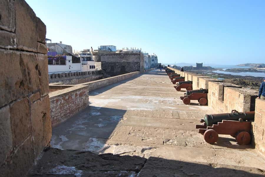 From Marrakesh: Small Group To Essaouira With Opt Activities - Who should book this day trip