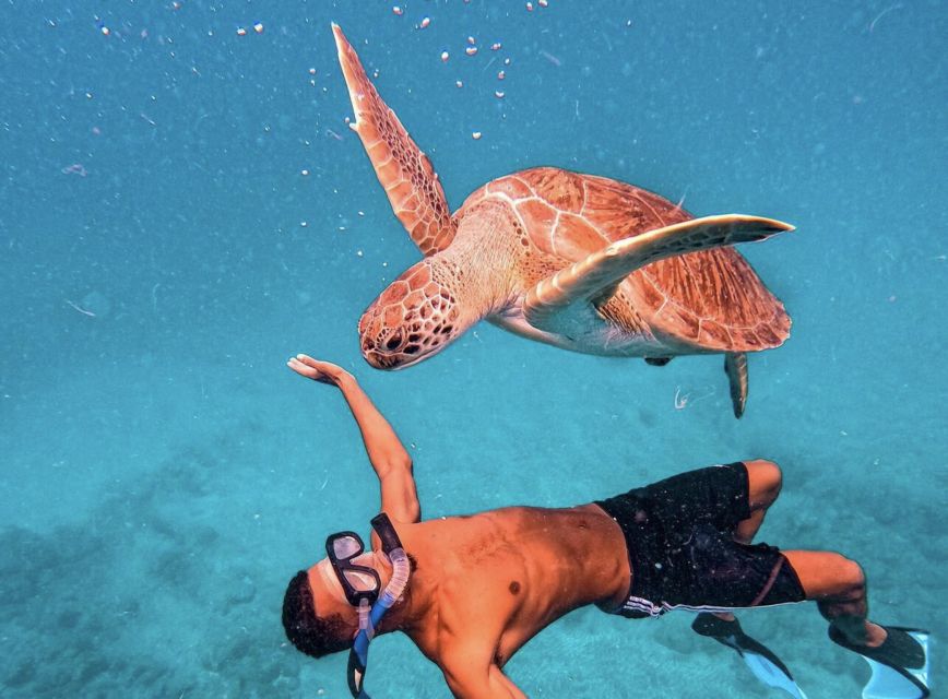 From Mindelo: São Vicente's Enchanting Sea Turtle Snorkeling - Swimming beside sea turtles in São Pedro