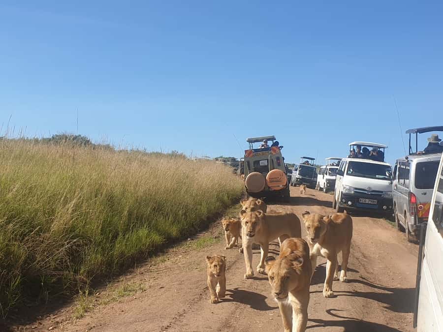 From Nairobi: 3 Days, 2 Nights Maasai Mara Group Safari - Nairobi to the Mara: a long first day