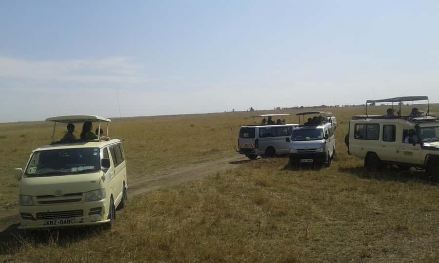 From Nairobi: 3 Days, 2 Nights Maasai Mara Group Safari - A practical camp, not a luxury lodge