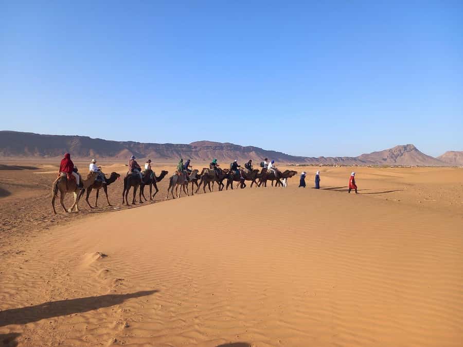From Ouarzazate: 2-Day Excursion to Zagora Desert - Who should book this two-day Zagora trip?
