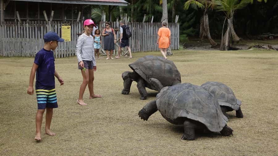 From Praslin: Cousin, Curieuse & St Pierre Islands Day Tour - Key points to know before you book