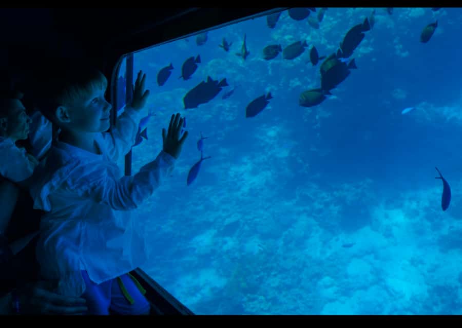 From Safaga: Royal Seascope Submarine with Snorkeling - What the Royal Seascope experience is really like