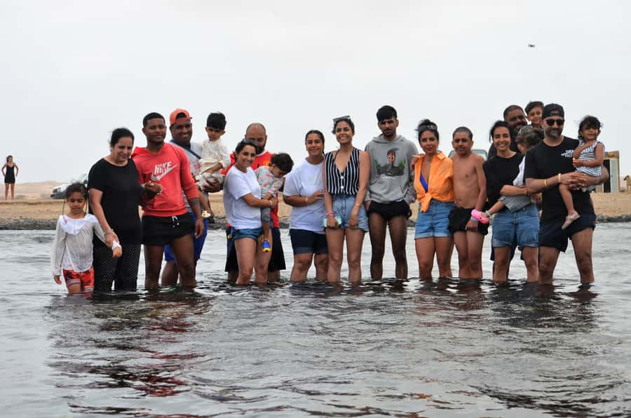 From Sal Island: Blu eye, Salt lake, Lemon Sharks & Palmeira - What the $35 price really covers