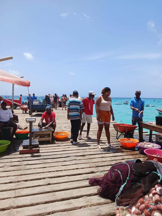 From Sal Island: Blu eye, Salt lake, Lemon Sharks & Palmeira - Espargos: lunch and a view of everyday Sal