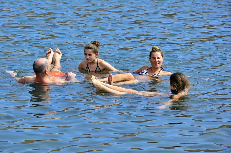 From Sal Island: Blu eye, Salt lake, Lemon Sharks & Palmeira - Shark Bay: the tour’s biggest thrill