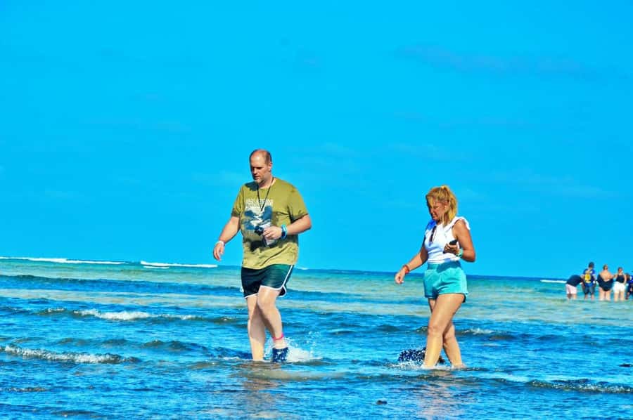 From Sal Island: Blue Eye, Salt Lake, Lemon Sharks, Palmeira - Why this Sal Island tour works so well