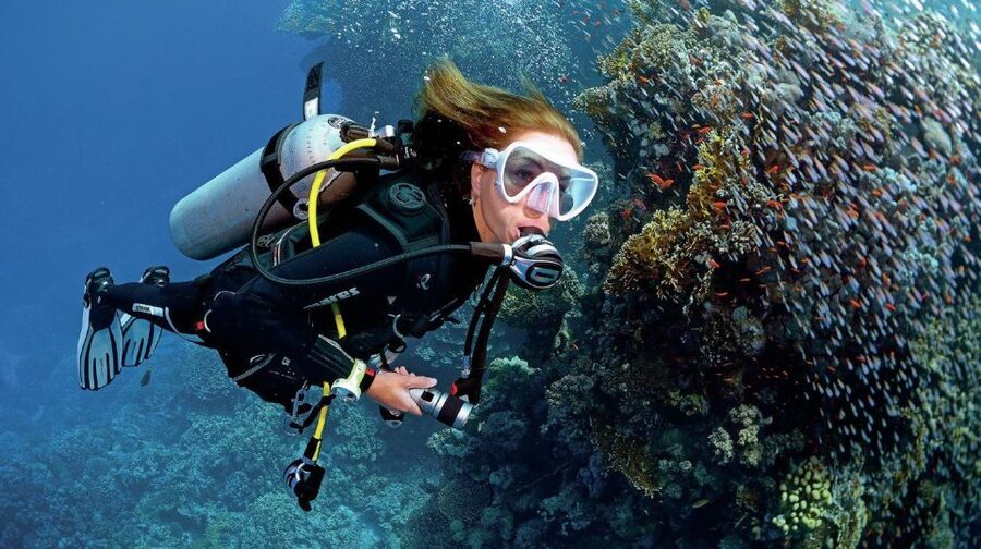 From Sharm: Ras Muhammed & White Island By Boat & intro Dive - The first swim stop and guided snorkeling