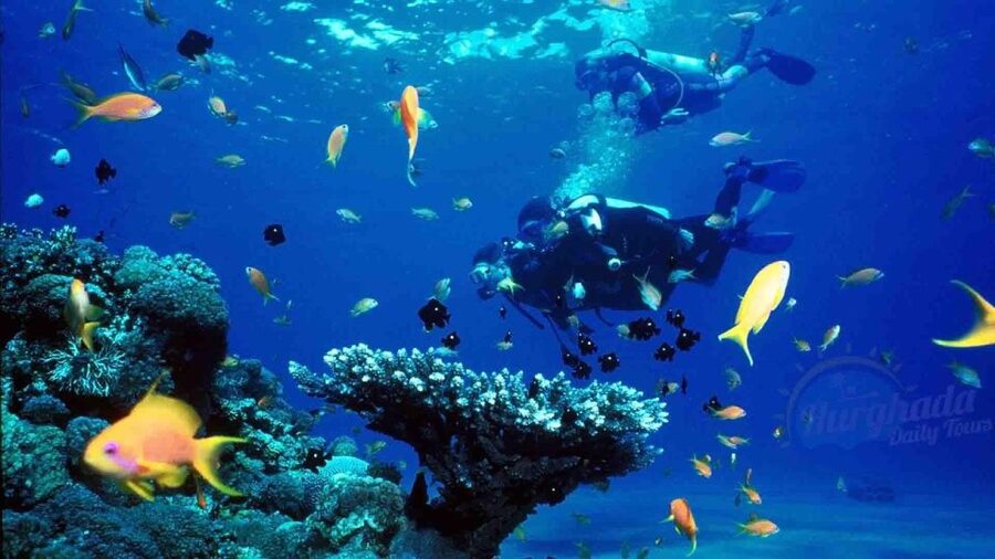 From Sharm: Ras Muhammed & White Island By Boat & intro Dive - Photos, extra charges, and how to avoid surprises