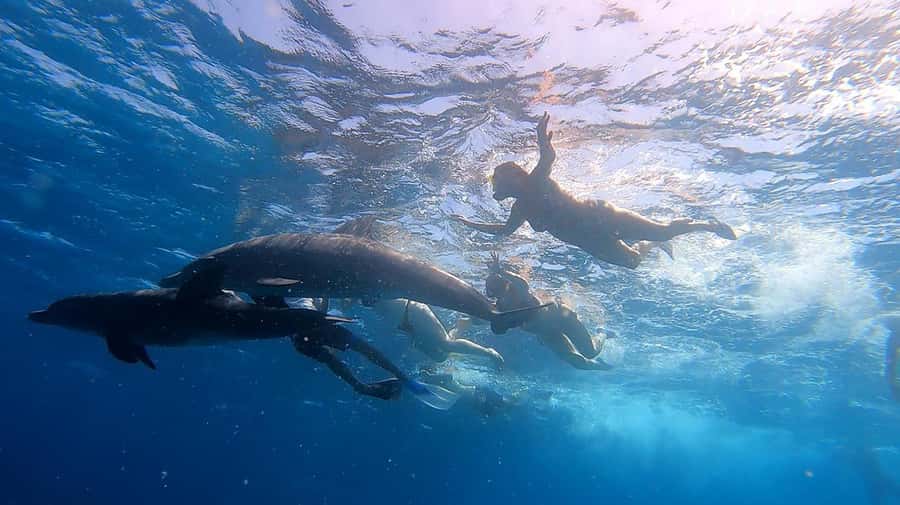 From Sharm: White Island and Ras Mohamed Snorkeling Trip - White Island and the tide question