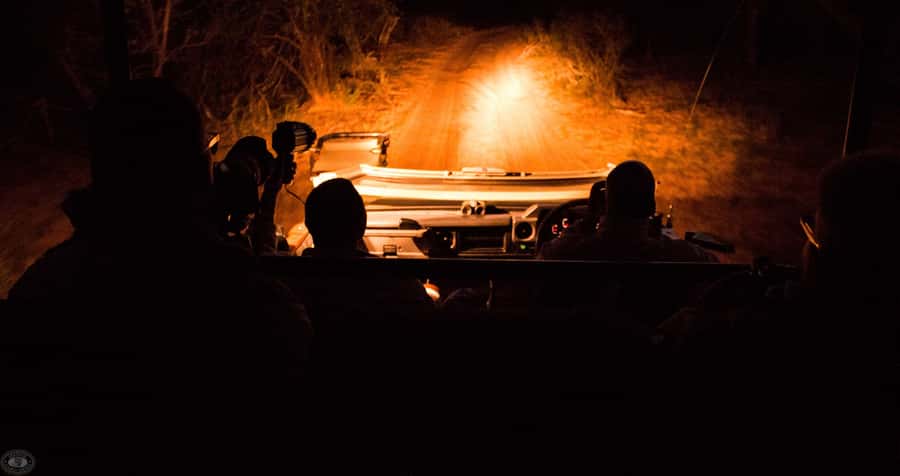 From St Lucia: iSimangaliso Wetland Park Night Drive Safari - Why iSimangaliso feels different after dark