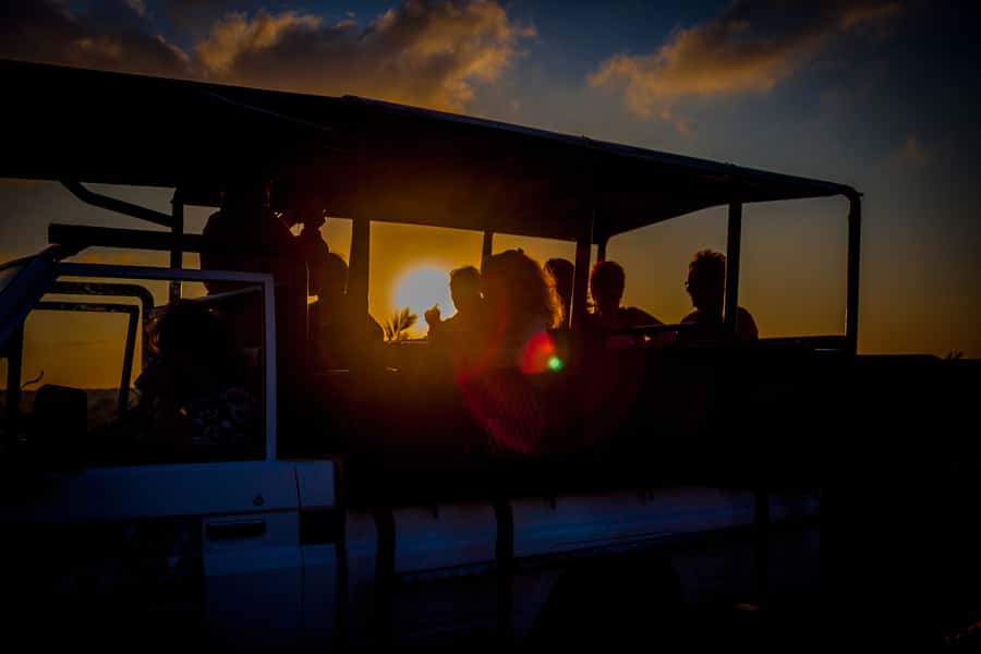From St Lucia: iSimangaliso Wetland Park Night Drive Safari - Three hours of searching with a spotlight