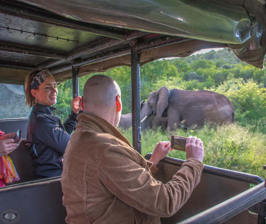 From St Lucia: iSimangaliso Wetland Park Night Drive Safari - Bush babies, aardvarks, and the smaller prizes