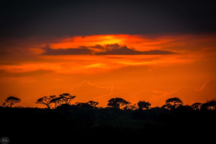 From St Lucia: iSimangaliso Wetland Park Night Drive Safari - Practical details that make the evening easier