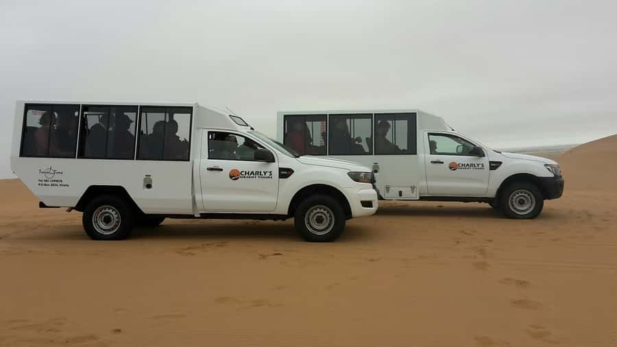 From Swakopmund: Living Dunes Experience - Key points to know before you book