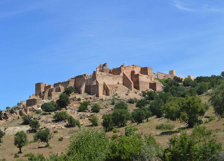 From Taghazout/Agadir: Taroudant and Tiout Day Trip & Tajine - Tiout, palms, and an Ali Baba connection