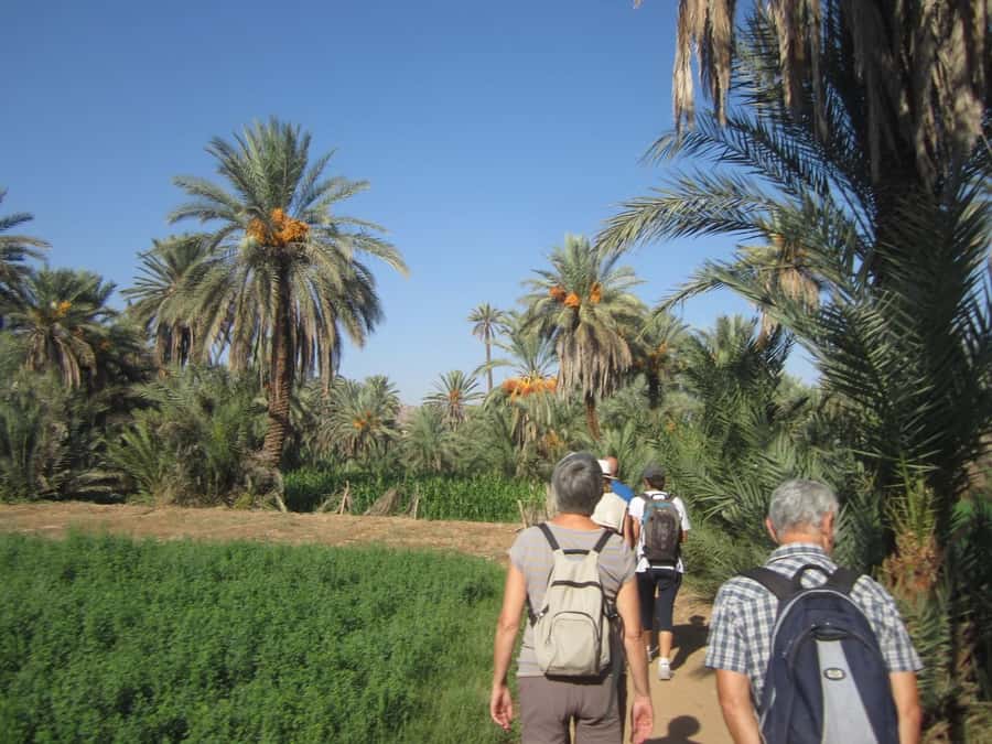 From Taghazout/Agadir: Taroudant and Tiout Day Trip & Tajine - FAQ